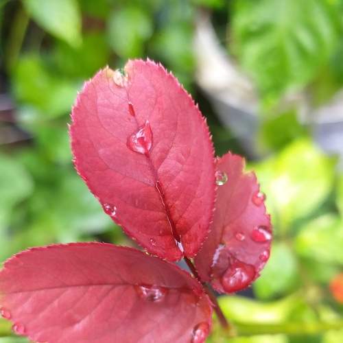 Photo #7505508