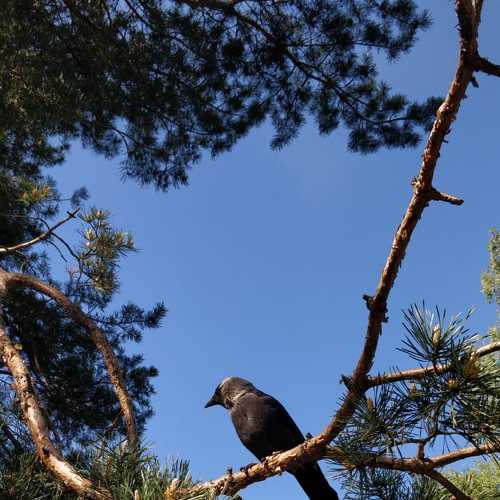 Photo #7505678