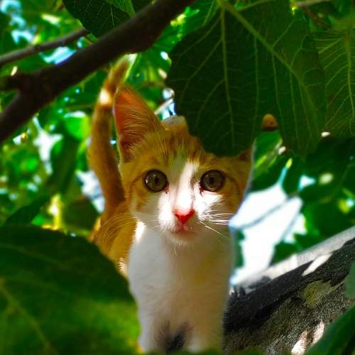 Photo #7505792