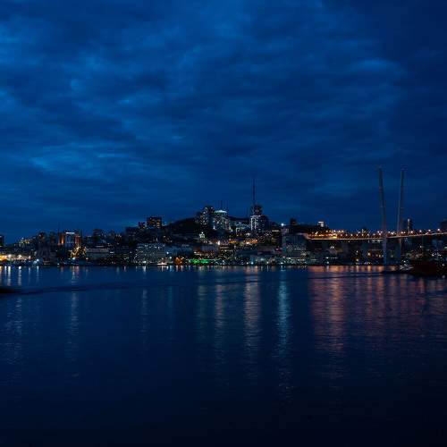 Photo #7505806