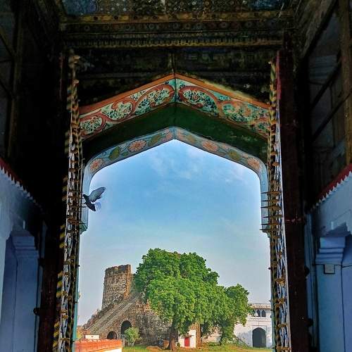 The door of nature