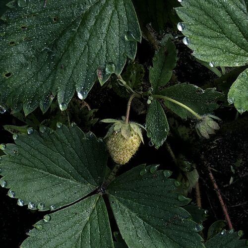 Photo #7506173