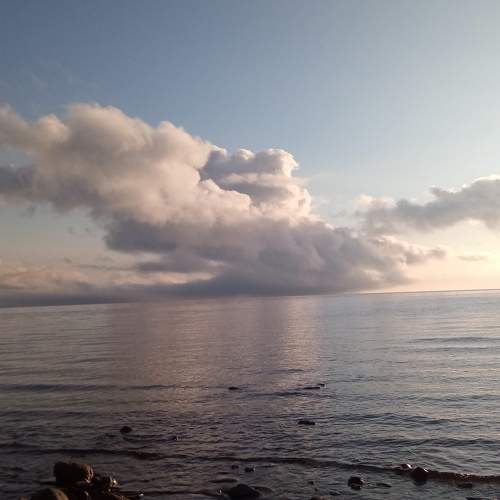 Photo #7506200