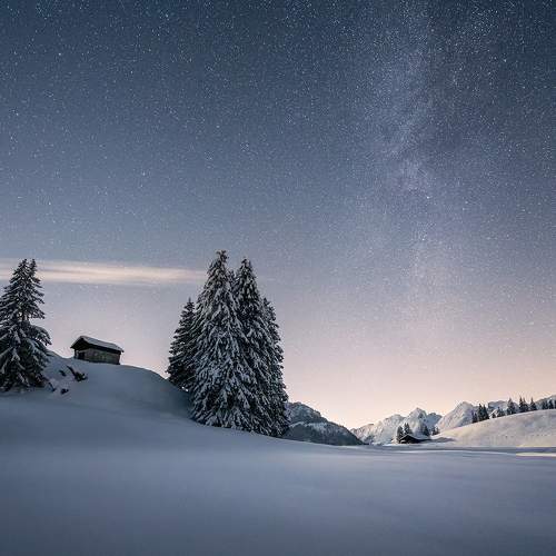 Photo #7506363