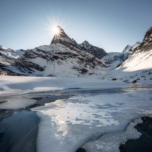 Photo #7506364
