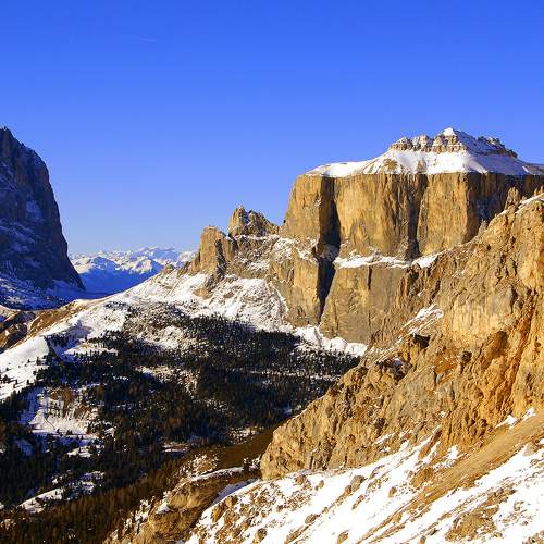 Photo #7506387
