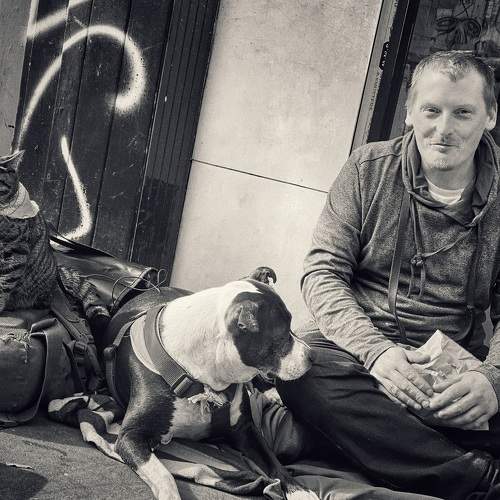 Photo #7506813