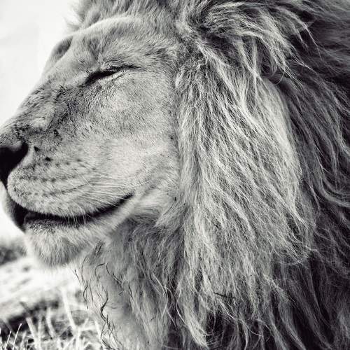 Photo #7506814