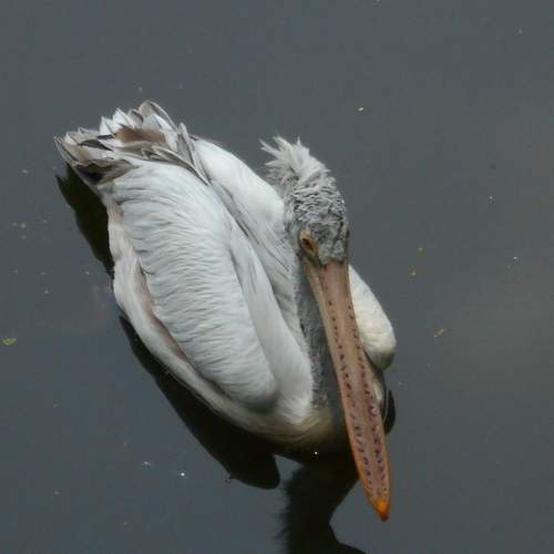 Photo #7506859
