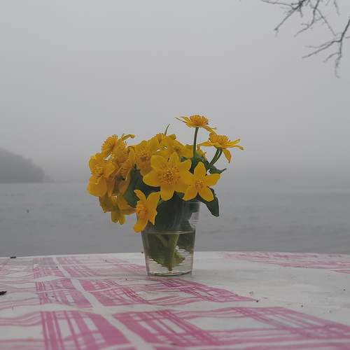 Photo #7506930
