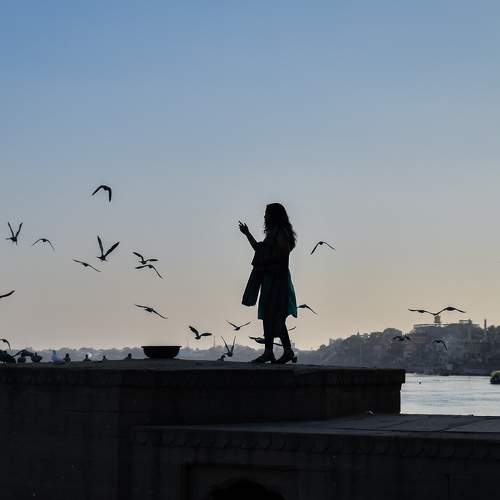 Photo #7507076