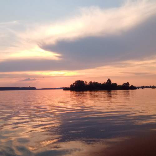 Photo #7507202