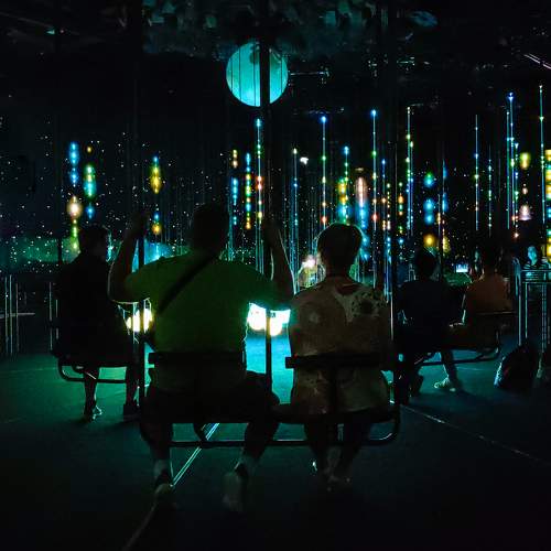 Photo #7507290