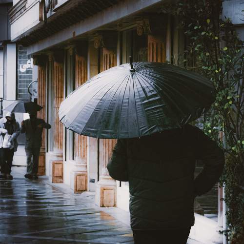 Photo #7507591