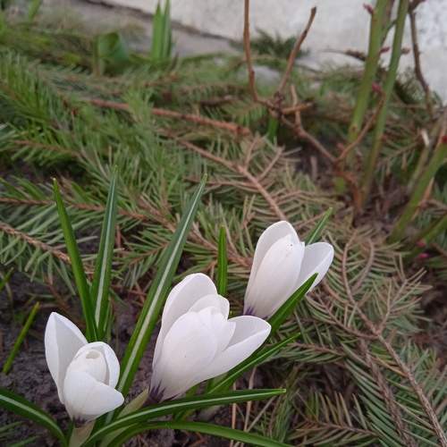 Photo #7508147