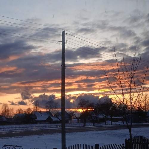 Photo #7508159