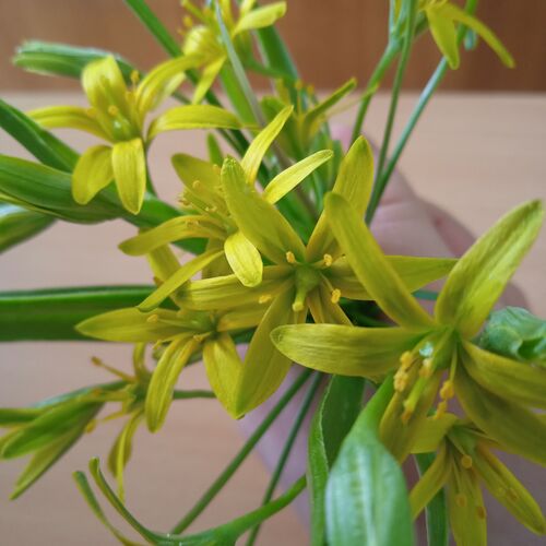 Photo #7508182
