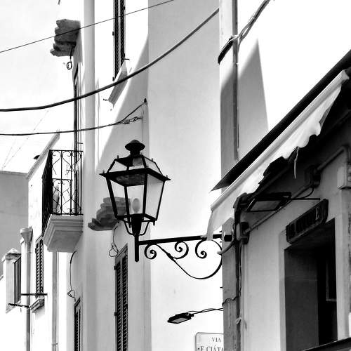 Photo #7508253