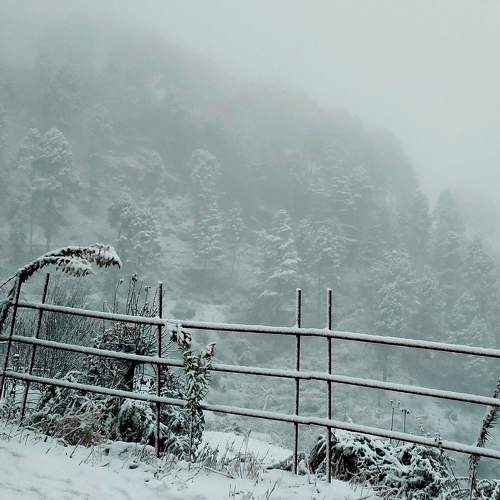 Photo #7508307