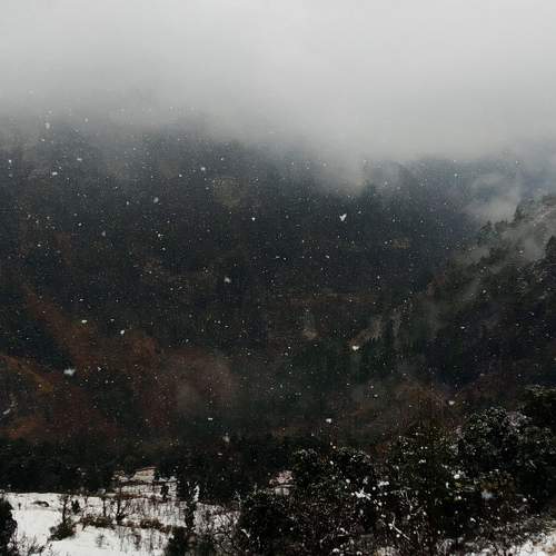 Photo #7508310