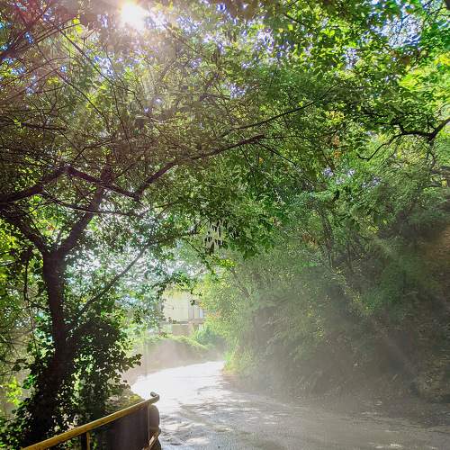 Photo #7508924