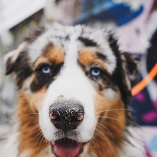 Photo #7508971