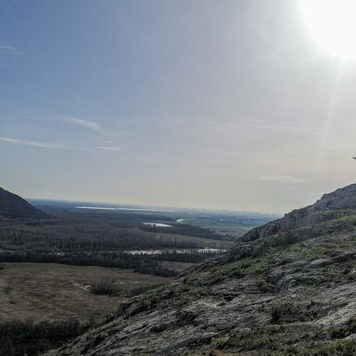 Photo #7508976