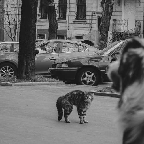 Photo #7508981