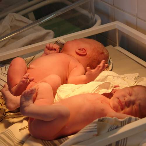 Photo #7509322
