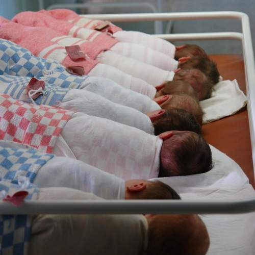 Photo #7509329