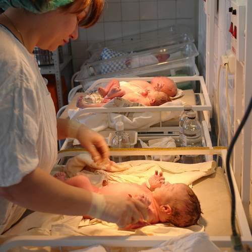 Photo #7509339