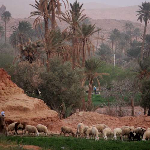 Photo #7509472