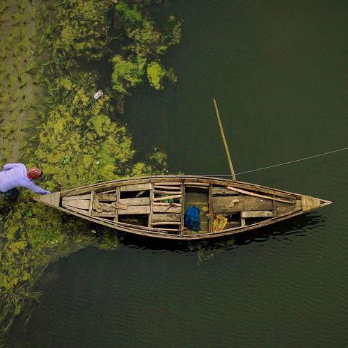 Fisherman