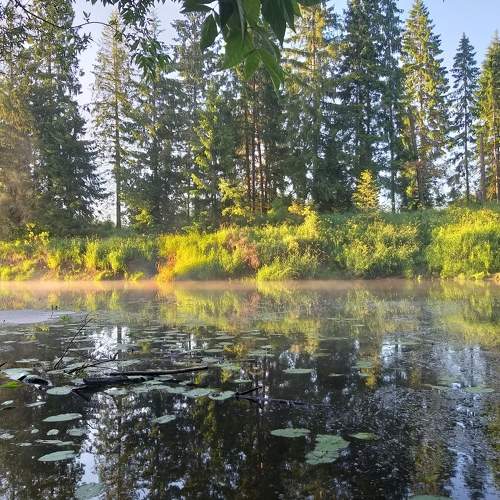 Photo #7509749