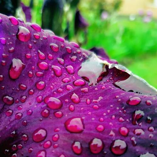 Photo #7509947