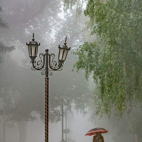 Photo #7510195