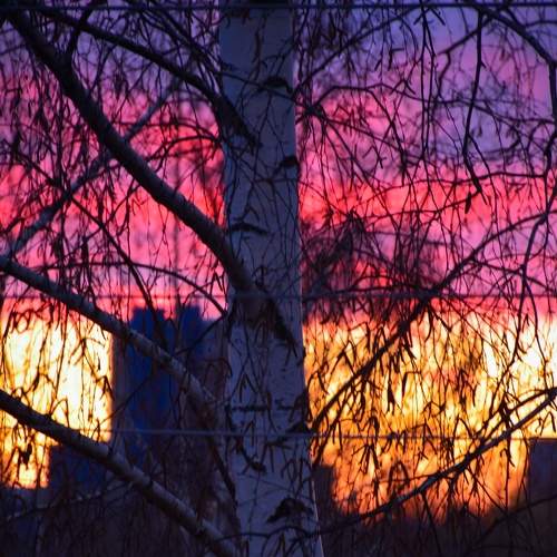 Photo #7510550