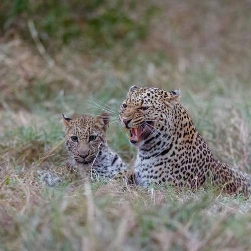 Photo #7510967
