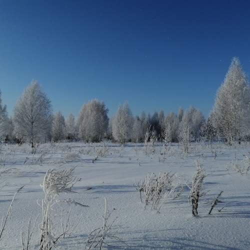 Photo #7511022