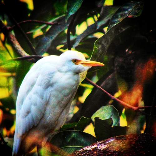 Photo #7511385
