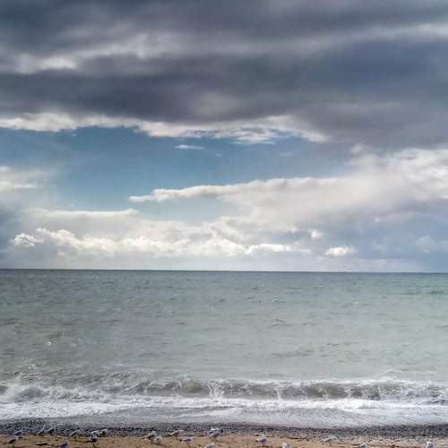 Photo #7511475