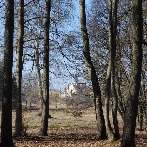Photo #7511603