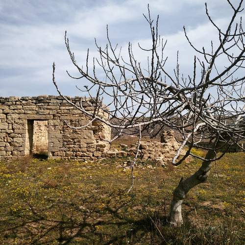 Photo #7511705