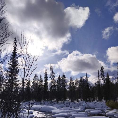 Photo #7511739