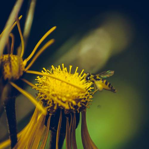 Photo #7511750