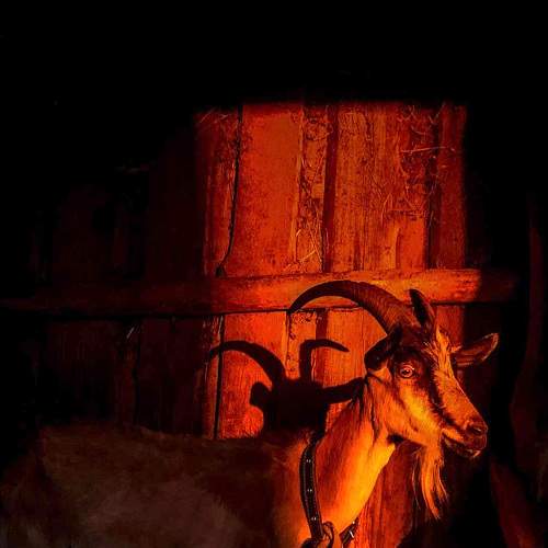 Photo #7511793