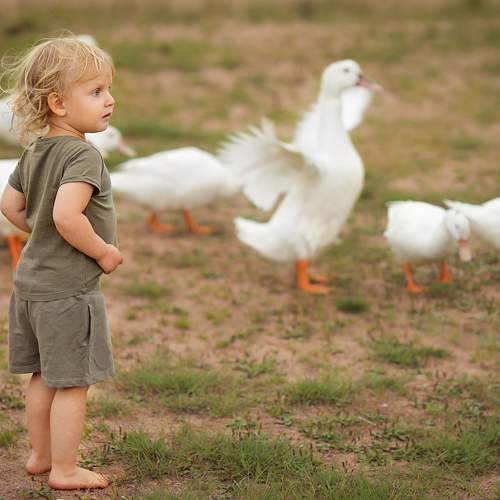 Photo #7512185