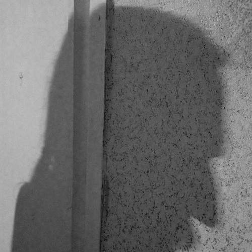 Photo #7512549
