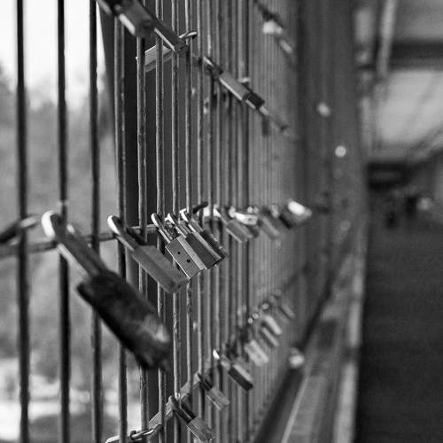 Фотография #7512627