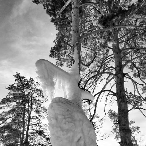 Photo #7512743